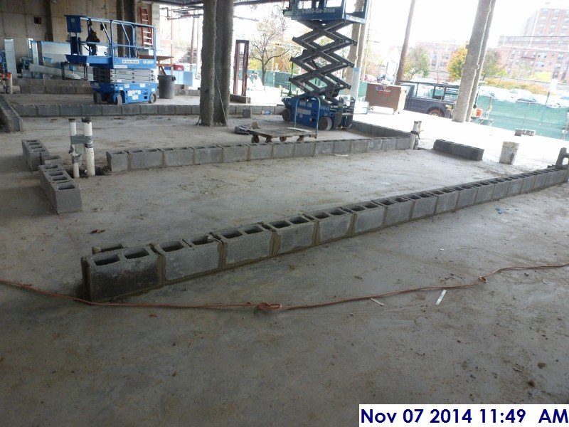 Started laying out block at the Juvenille-Adult Cells Facing South-East (800x600)